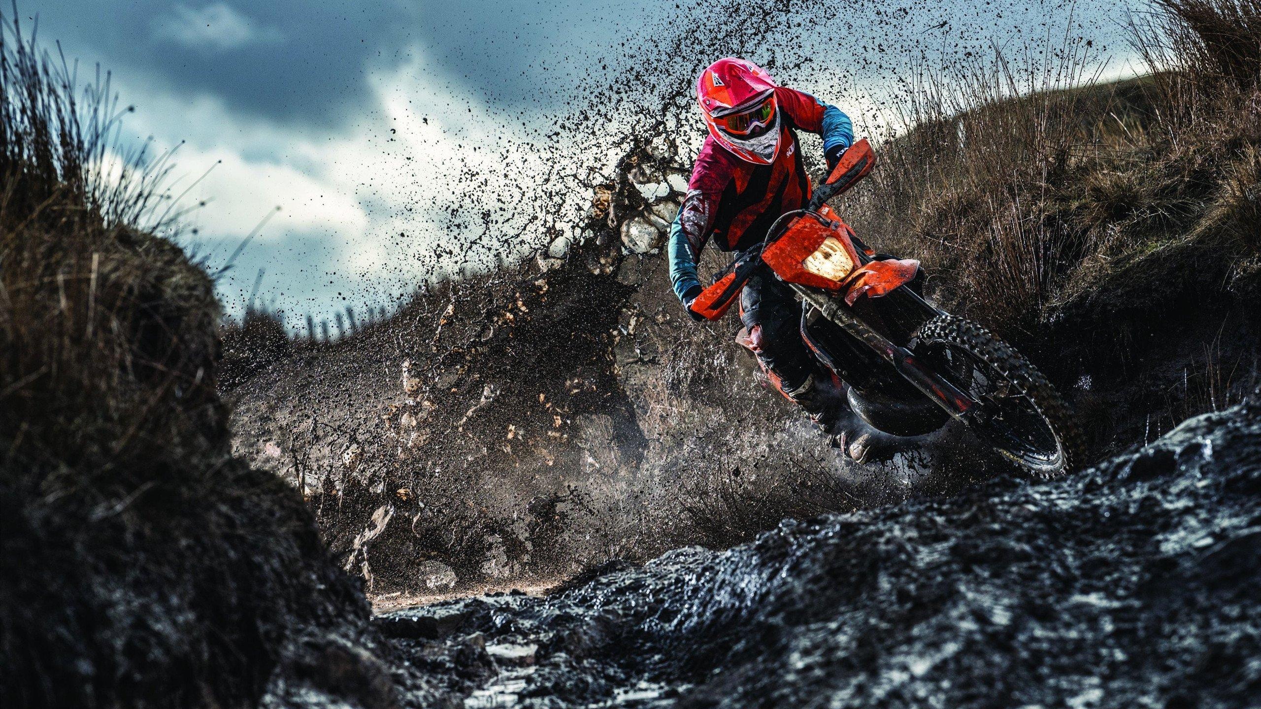 利拉德看表收割 大洛找回自我！雄鹿攻防步入正轨